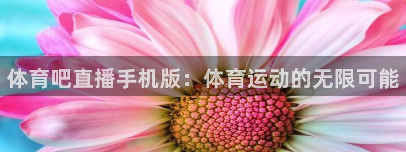 体育吧直播手机版：体育运动的无限可能