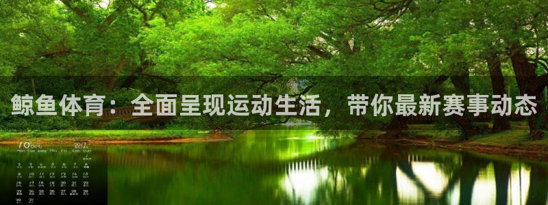 鲸鱼体育：全面呈现运动生活，带你最新赛事动态
