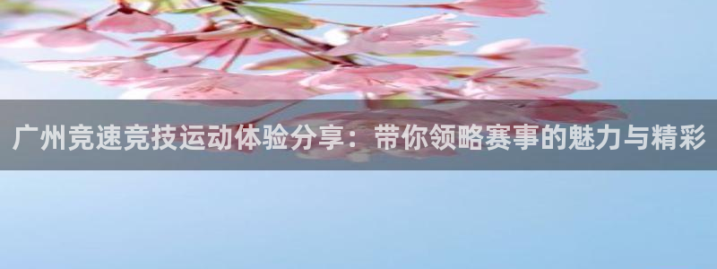 广州竞速竞技运动体验分享：带你领略赛事的魅力与精彩