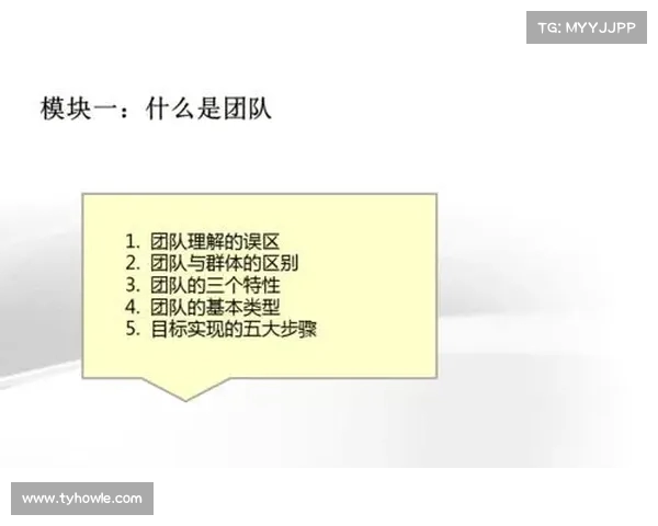 比赛进程图解析与数据展示助力赛事策略决策和团队协作优化