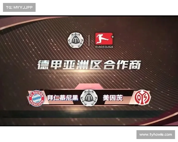 德甲俱乐部赞助合作现状分析及其对俱乐部经济发展的影响 德甲俱乐部赞助合作现状分析及其对俱乐部经济发展的影响