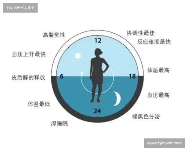 跨时区旅行如何高效调整时差提升生物钟适应性与健康状态