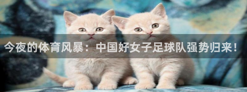 今夜的体育风暴：中国好女子足球队强势归来！