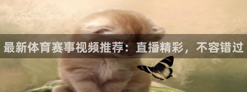 最新体育赛事视频推荐：直播精彩，不容错过